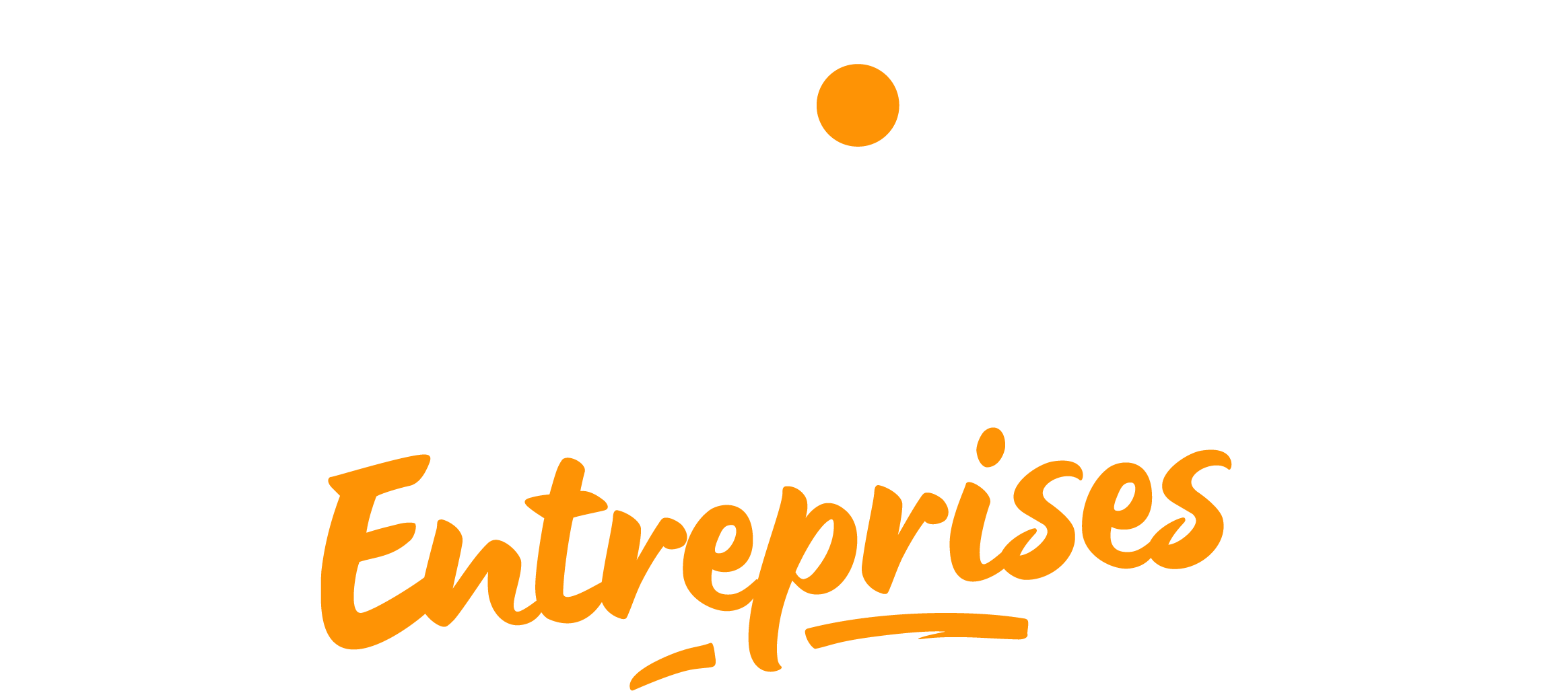 DSTNY_ENTREPRISES_LOGO_WHITEORANGE