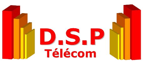 Témoignage DSP Telecom - Dstny France