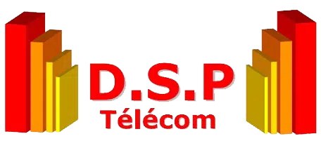 Témoignage DSP Telecom - Dstny France